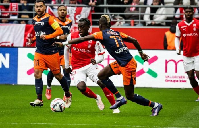 Stade de Reims continues its good run after its victory against Montpellier in Ligue 1