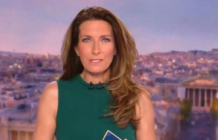 Audiences 8 p.m.: More than a million and a half viewers difference between Anne-Claire Coudray on TF1 and Laurent Delahousse on France 2