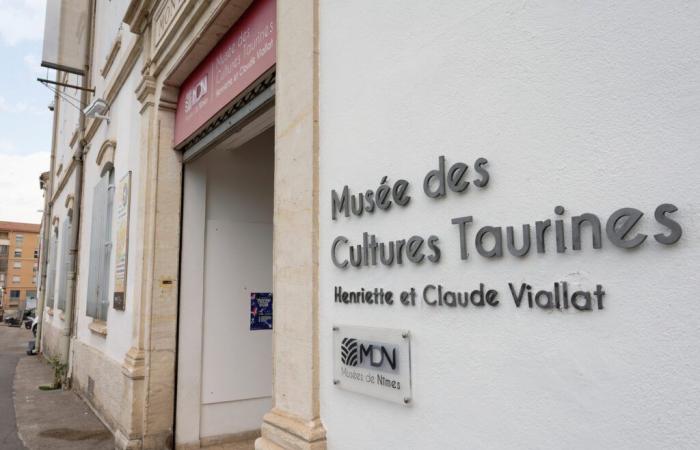 In Nîmes, a unique museum in France, dedicated to the bull