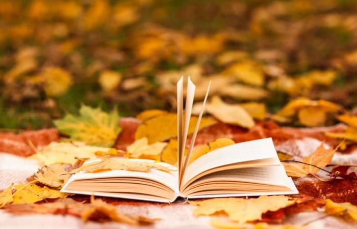 Books, the must-haves for the month of October – DECIDEURS MAGAZINE