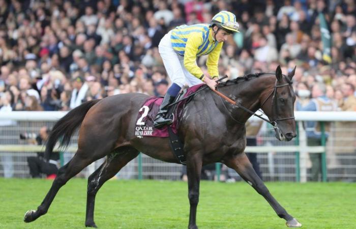 The sad end of Haya Zark in the 2024 Prix de l’Arc de Triomphe