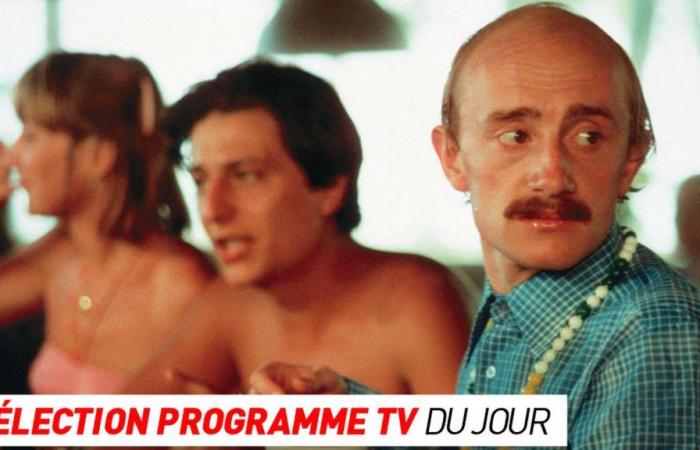 TV program: Les Bronzés, Forbidden Zone… what to watch on TV this evening?