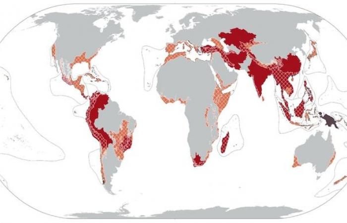 At the heart of the “dark spots” of biodiversity, plants wait to be discovered