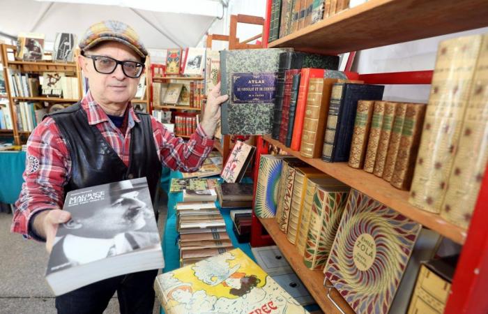 “You have to go through the highways like eBay”: at the Mouans-Sartoux book festival, booksellers witness a profession in full change