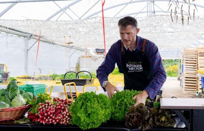 this market gardener’s solutions to adapt to the disastrous weather