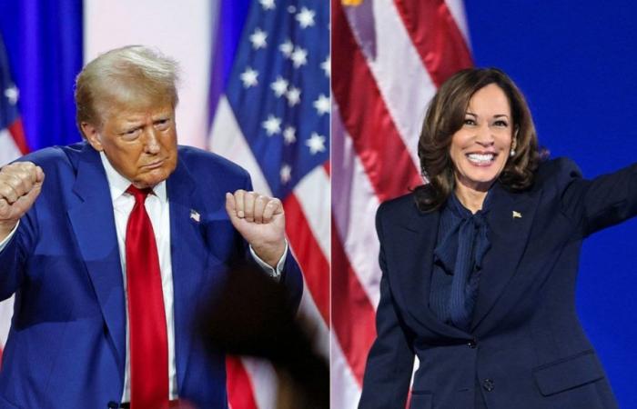 Trump and Harris neck and neck: what should we remember from the American campaign in recent days?