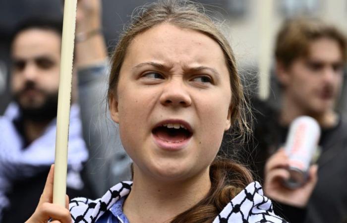 Greta Thunberg arrested at a demonstration in Brussels