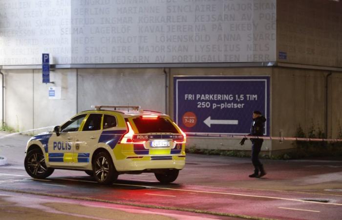 Sweden: One shot injured in Swedish shopping center