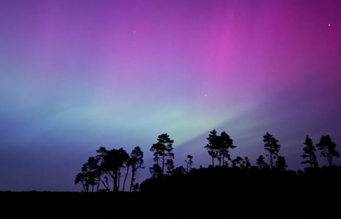 Northern lights over MV: good chance for sightings at the weekend | NDR.de – News