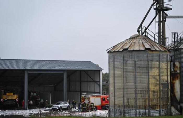 70 tonnes of stored sunflowers combust in a silo in Pouilly-sur-Loire