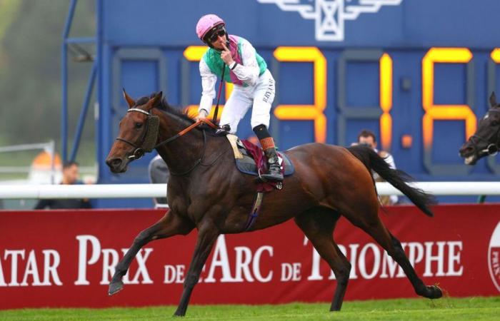 Heroic bluestocking in the 2024 Prix de l’Arc de Triomphe