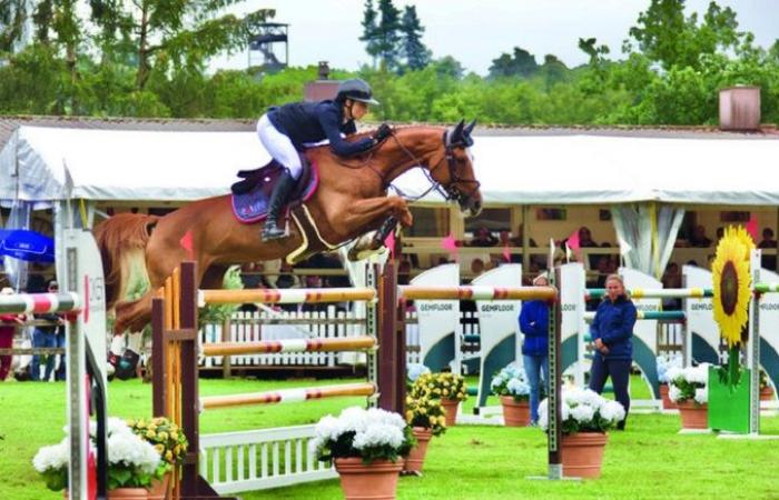 Horse show: Swiss Adrian Schmid wins the show jumping Grand Prix