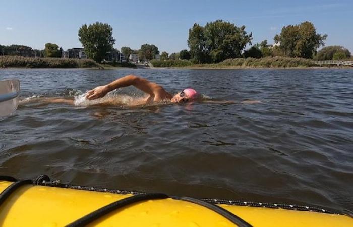 Swim 30 miles under the bridges on Manhattan Island