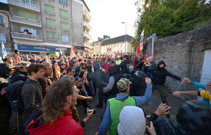 More than 2,500 people mobilized in Creuse against “mega-wood factories”