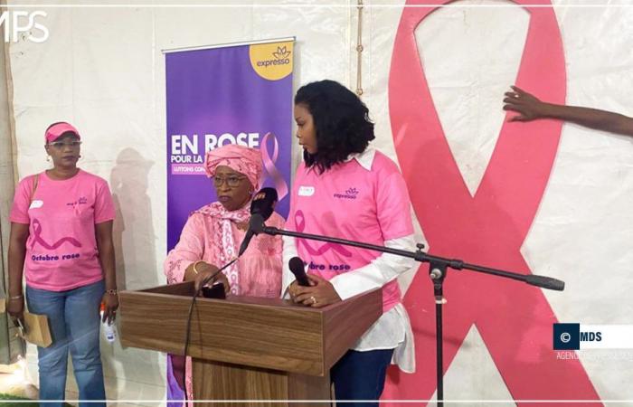 SENEGAL-HEALTH-OBJECTIVES / “Pink October”: Lisca wants to screen 15,000 women (president) – Senegalese press agency