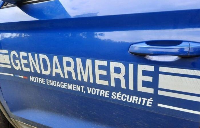 Disappearance of a Perpignan resident: the body of Christian Duval found in Ariège