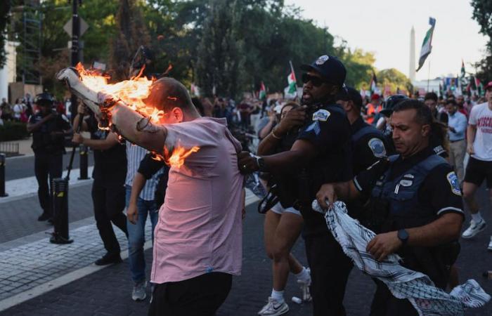 Man attempts self-immolation during pro-Palestinian protest in Washington (video)