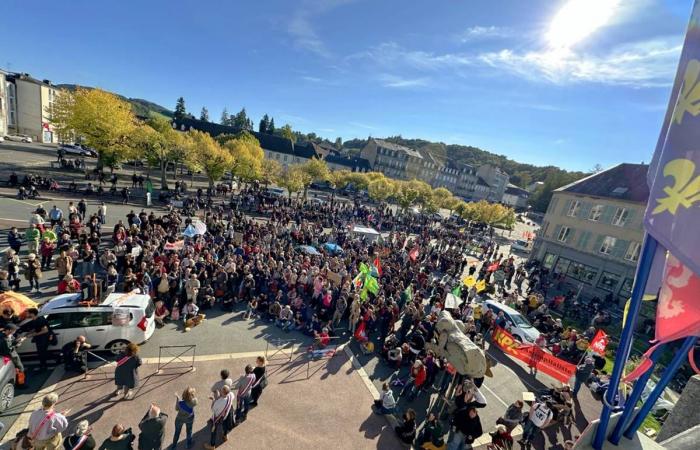 More than 2,500 people mobilized in Creuse against “mega-wood factories”