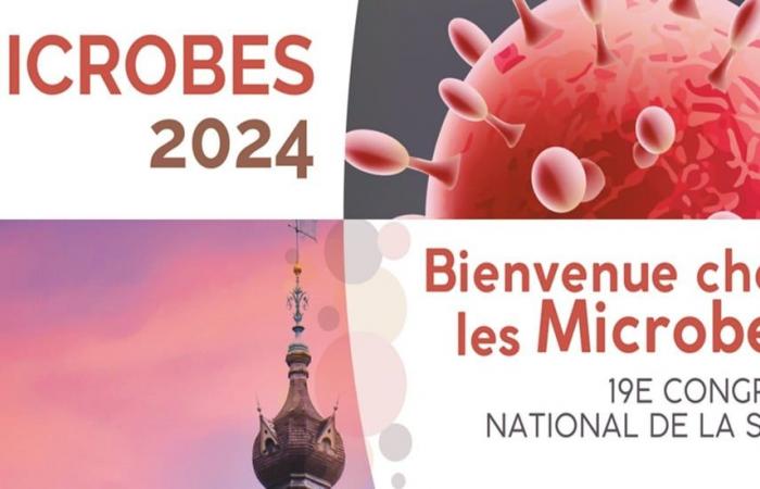 Microbes 2024, here we go!