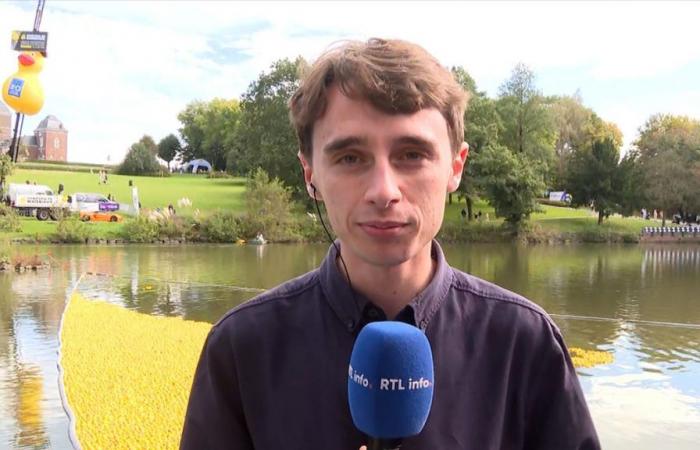 “The record has just been broken”: the largest duck fishing in the world takes place in Belgium