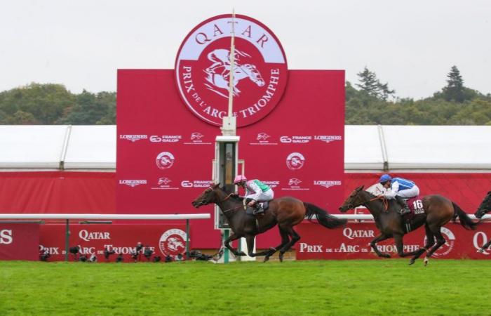 Bluestocking wins the 2024 Qatar Prix de l’Arc de Triomphe