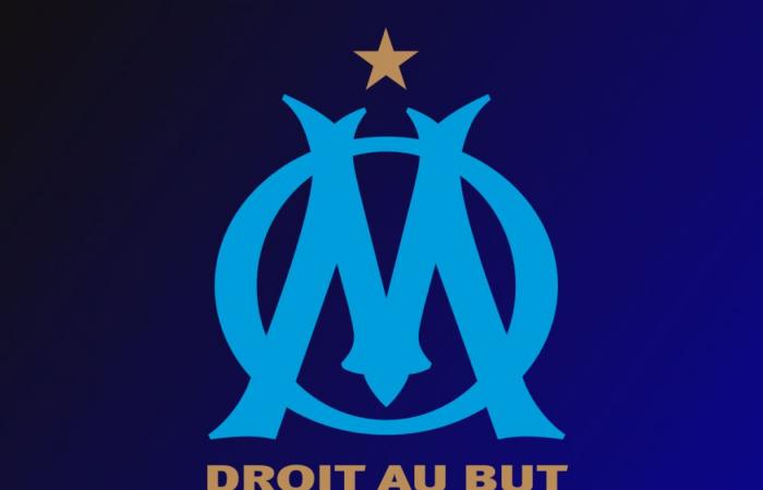 Pogba at OM, things are progressing!