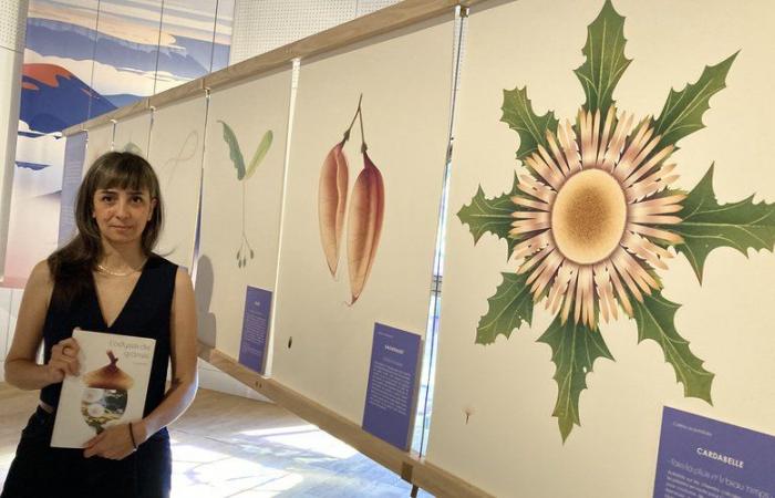 At Maison Rouge in Saint-Jean-du-Gard, Crushiform takes the imagination on a journey with the odyssey of seeds