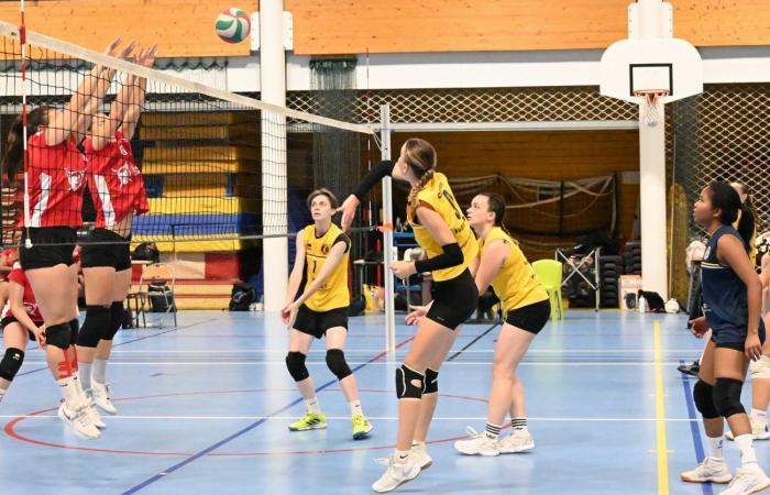 VOLLEY BALL: A great victory for the women of Le Creusot against Besançon