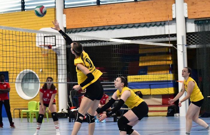 VOLLEY BALL: A great victory for the women of Le Creusot against Besançon