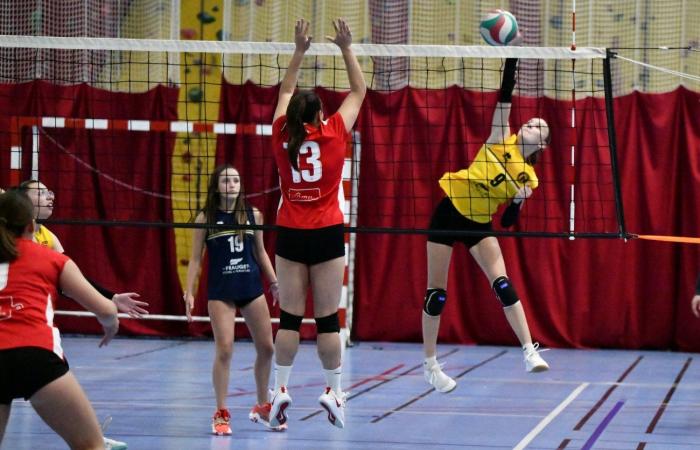 VOLLEY BALL: A great victory for the women of Le Creusot against Besançon