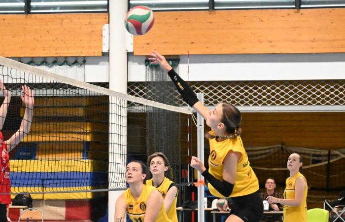 VOLLEY BALL: A great victory for the women of Le Creusot against Besançon