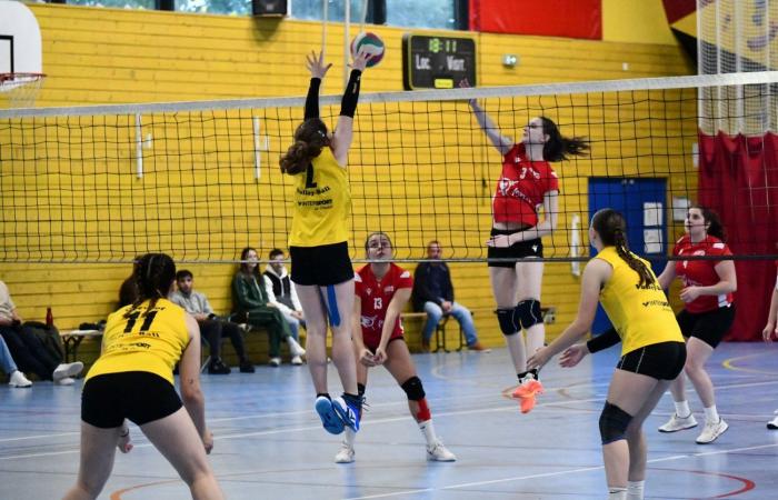 VOLLEY BALL: A great victory for the women of Le Creusot against Besançon