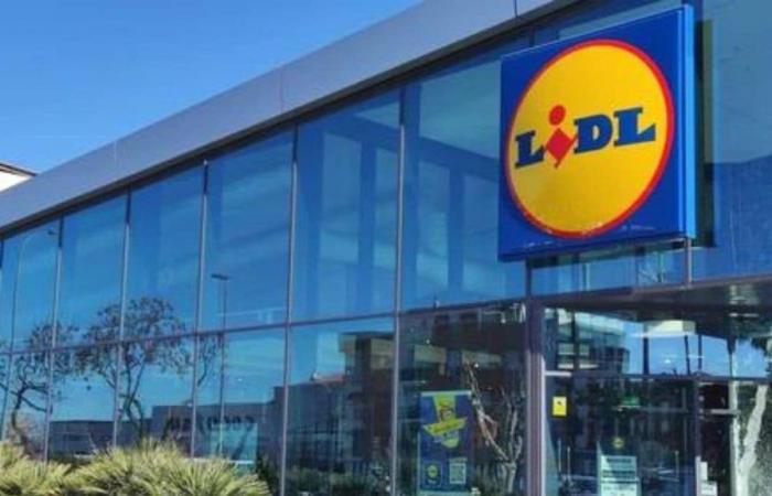 This Netflix documentary on the secrets of LIDL is a hit