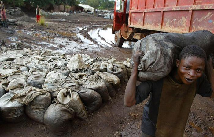 USA: cobalt from the DRC included on the list of “child labor” products