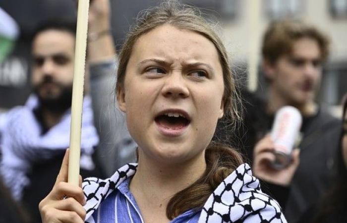 Greta Thunberg arrested at climate demonstration in Brussels