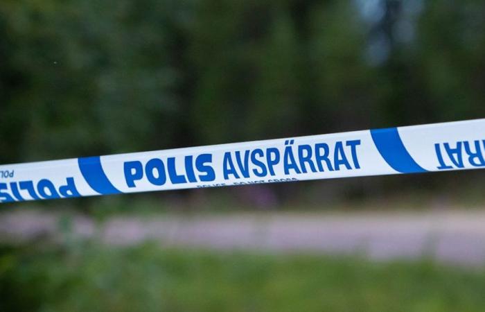 Man shot and injured in Swedish shopping center: teen arrested