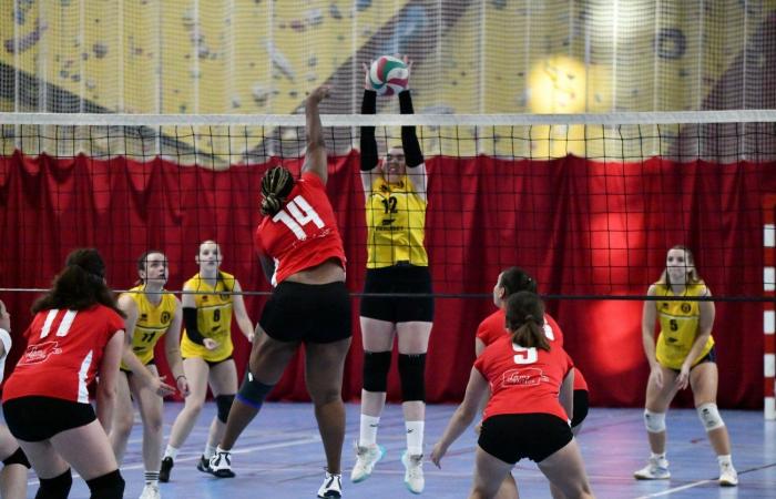 VOLLEY BALL: A great victory for the women of Le Creusot against Besançon