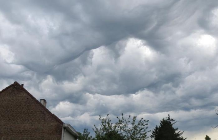 The bad weather in summer in Belgium will still have had positive consequences…