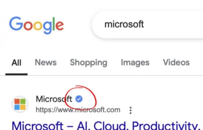 What do these little blue checkmarks mean in Google results?