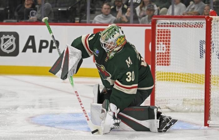 The Wild secures its future in net