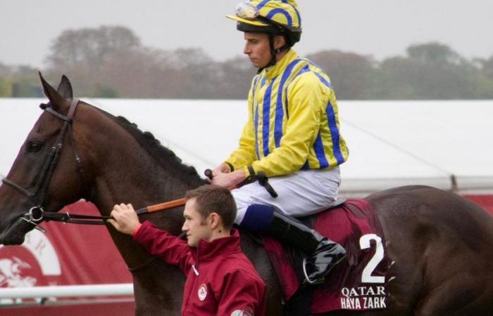 horse dies during Qatar Prix de l’Arc de Triomphe