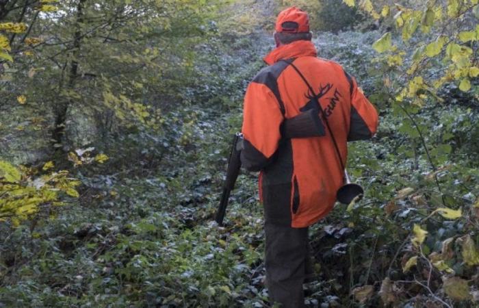 Haute-Savoie: a young hunter dies during a hunt after an “accidental fall”: News