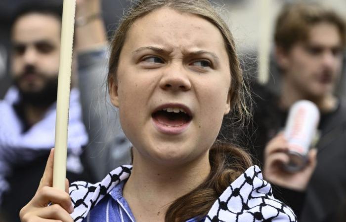 Greta Thunberg arrested at climate demonstration in Brussels