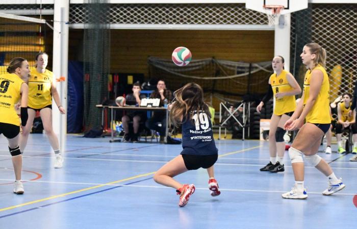 VOLLEY BALL: A great victory for the women of Le Creusot against Besançon