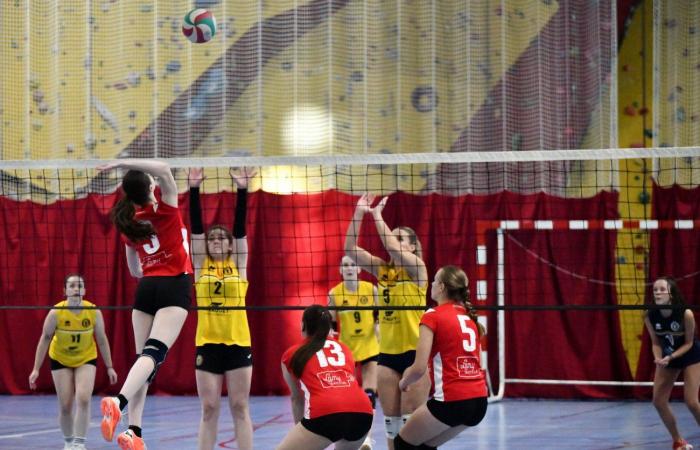 VOLLEY BALL: A great victory for the women of Le Creusot against Besançon