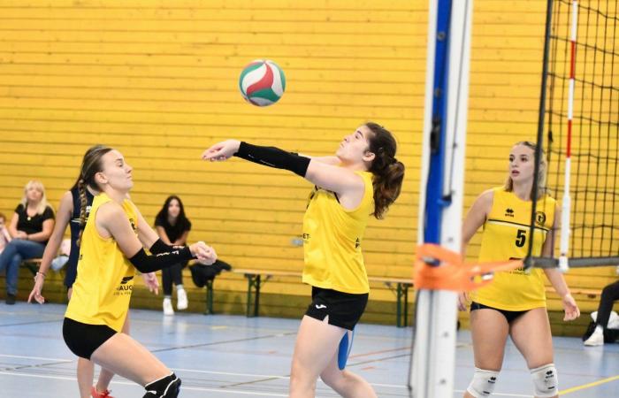 VOLLEY BALL: A great victory for the women of Le Creusot against Besançon