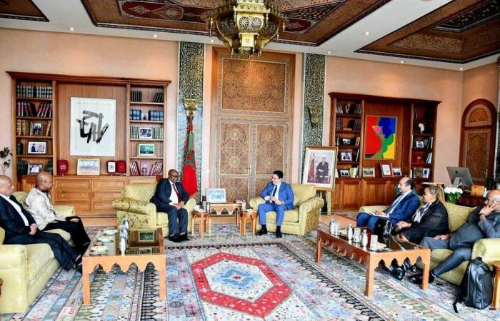 Received by Bourita, a senior executive of the South African presidential party pleads for rapprochement with Morocco