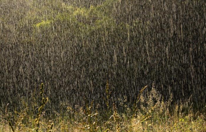 a Cevennes episode expected Monday evening in Lozère, Ardèche and Gard