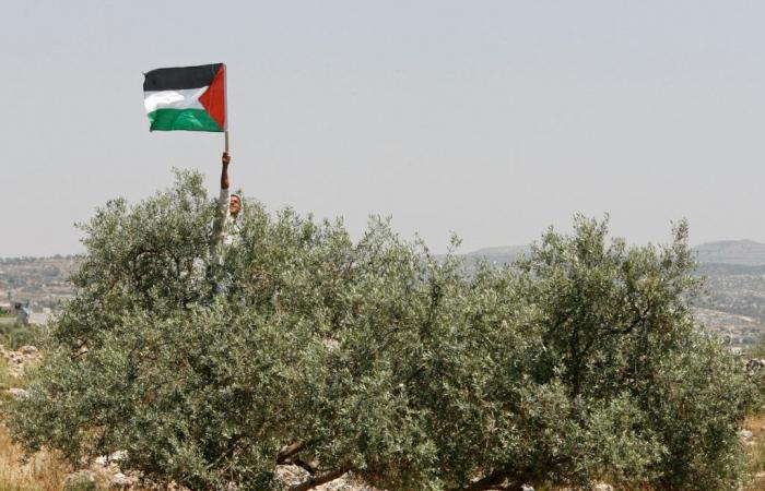 Why Palestinians won’t leave their land | Opinions