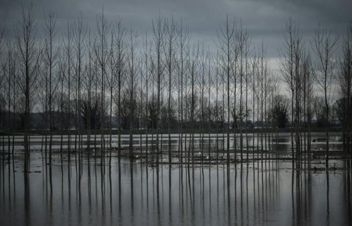 Météo France places three departments on orange vigilance